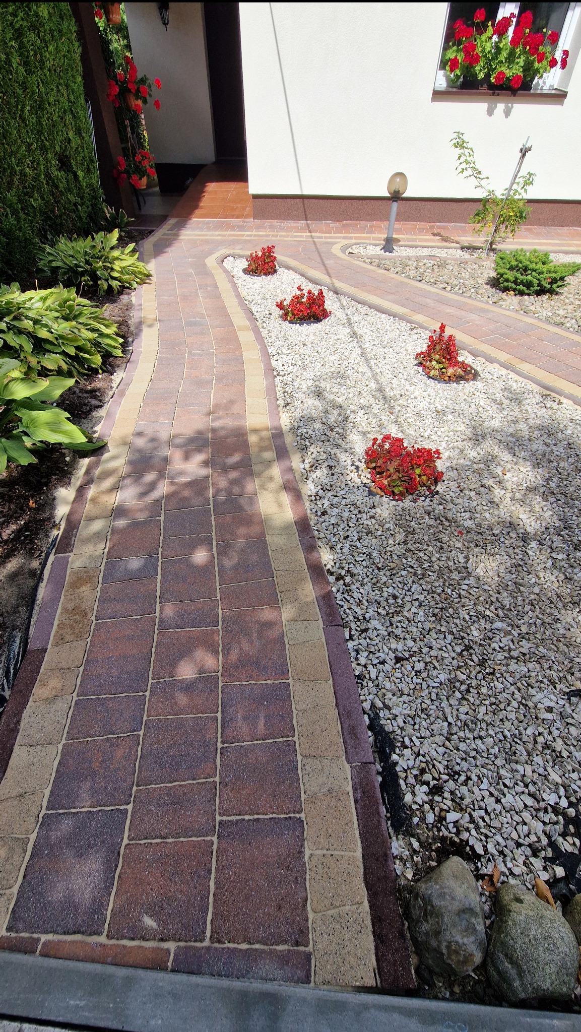 Ułożona kostka brukowa tworząca ścieżkę w ogrodzie z białym żwirem i czerwonymi kwiatami. Widok na dom z czerwonymi kwiatami w oknach.