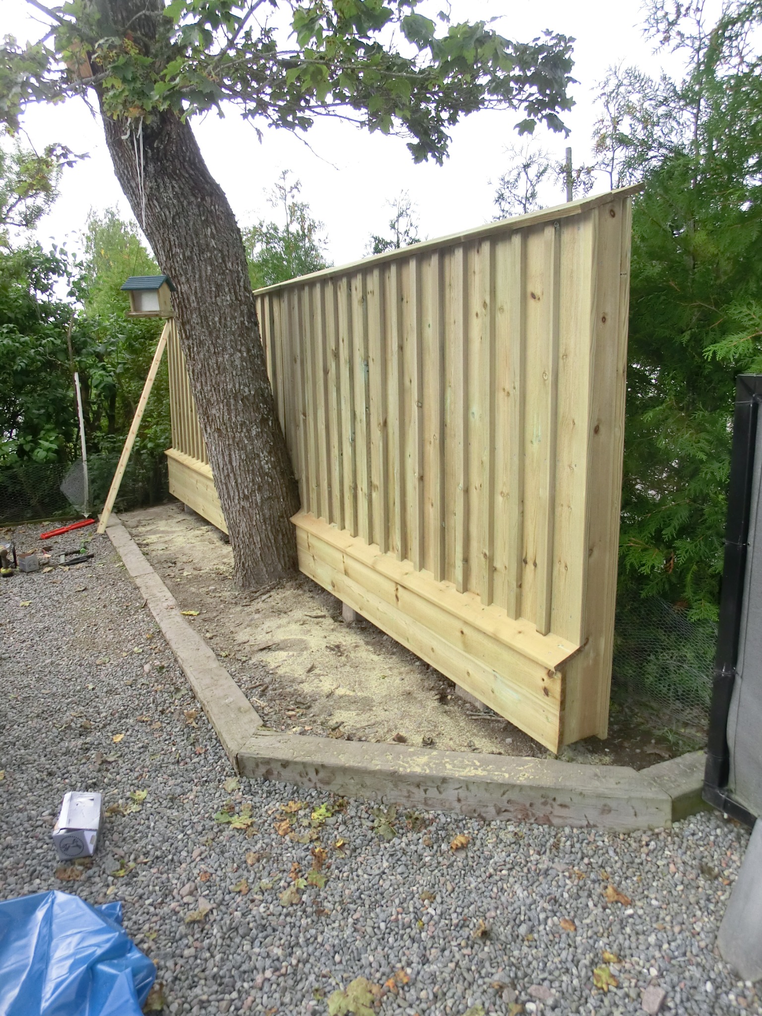 Nowo postawione, surowe drewniane ogrodzenie pionowe z desek, obejmujące duże drzewo, z widocznymi narzędziami i elementami konstrukcyjnymi na żwirowym podłożu.