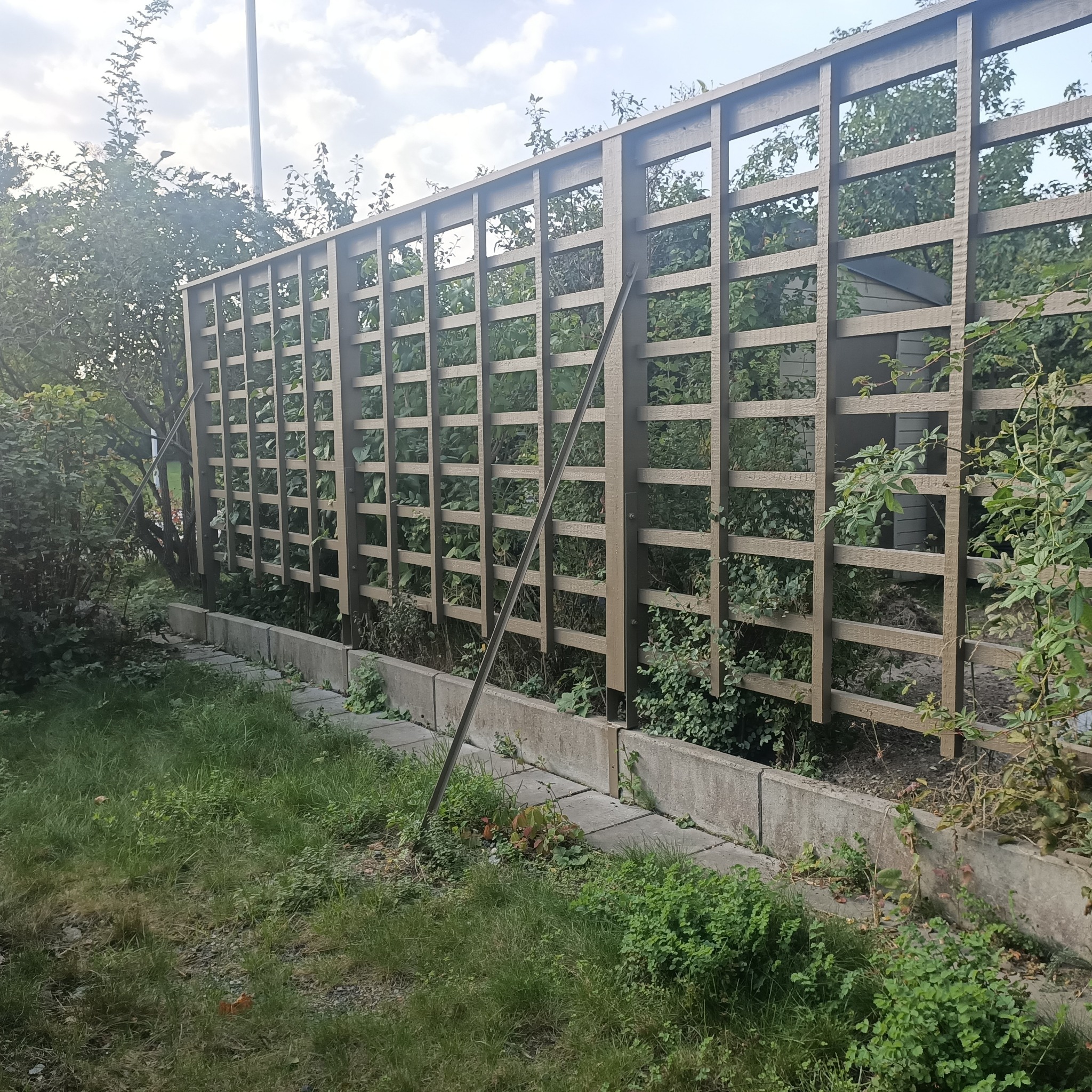 Drewniana krata ogrodowa z widoczną podporą, oddzielająca ogród od trawnika, z roślinami w tle.