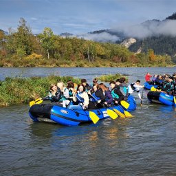 Rafting Dunajec, w którym biorą udział grupy zorganizowane