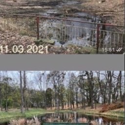 Trociny i zrębki drzewne Kalisz 2