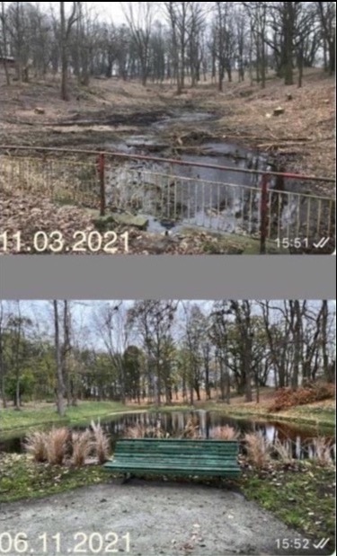 Porównanie terenu przed i po wycince drzew: górne zdjęcie ukazuje teren z wyciętymi drzewami i krzewami, odsłaniając błotniste podłoże i mały zbiornik wodny z metalowym ogrodzeniem; dolne zdjęcie...