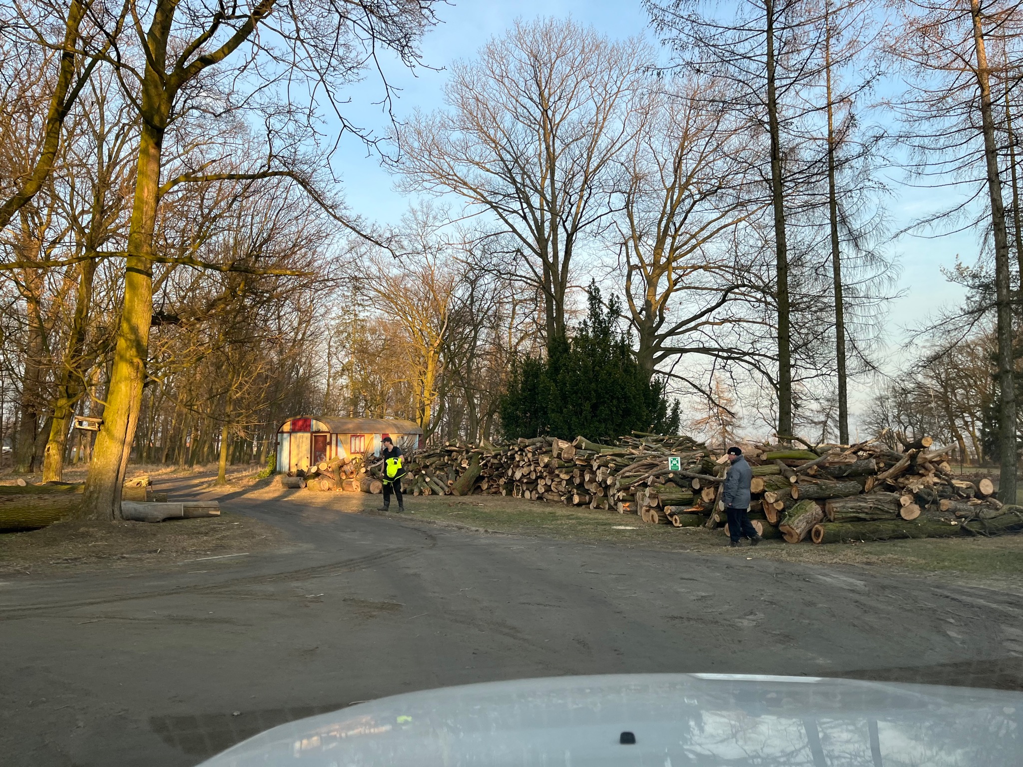 Stos pociętego drewna na skraju drogi gruntowej, w tle barak i drzewa bez liści, dwóch mężczyzn w pobliżu, jeden w kamizelce odblaskowej