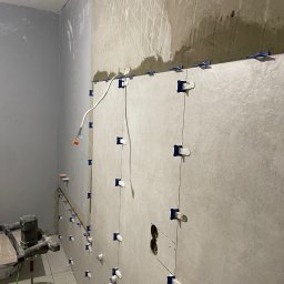 Glazurnik Miechucino 2