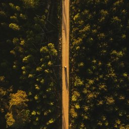 Fotograf ślubny Gdańsk 3