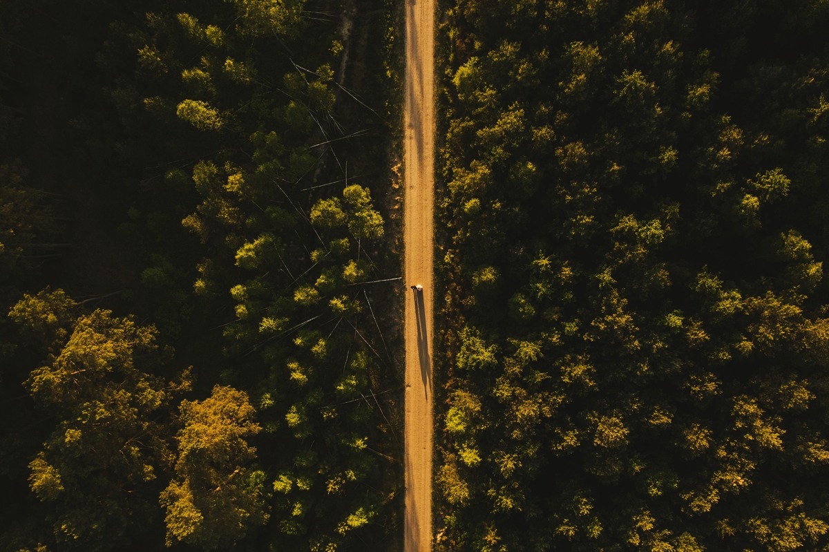 Widok z drona na samotną osobę idącą polną drogą przez gęsty las w promieniach zachodzącego słońca, rzucającą długi cień.