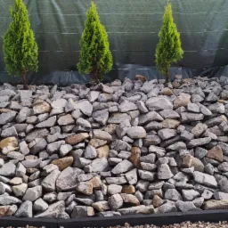 Aranżacja ogrodu z wysypaną szarą korą kamienną i rzędem zielonych, stożkowych tuj na tle zielonej siatki cieniującej, z jedną usychającą tują po lewej.