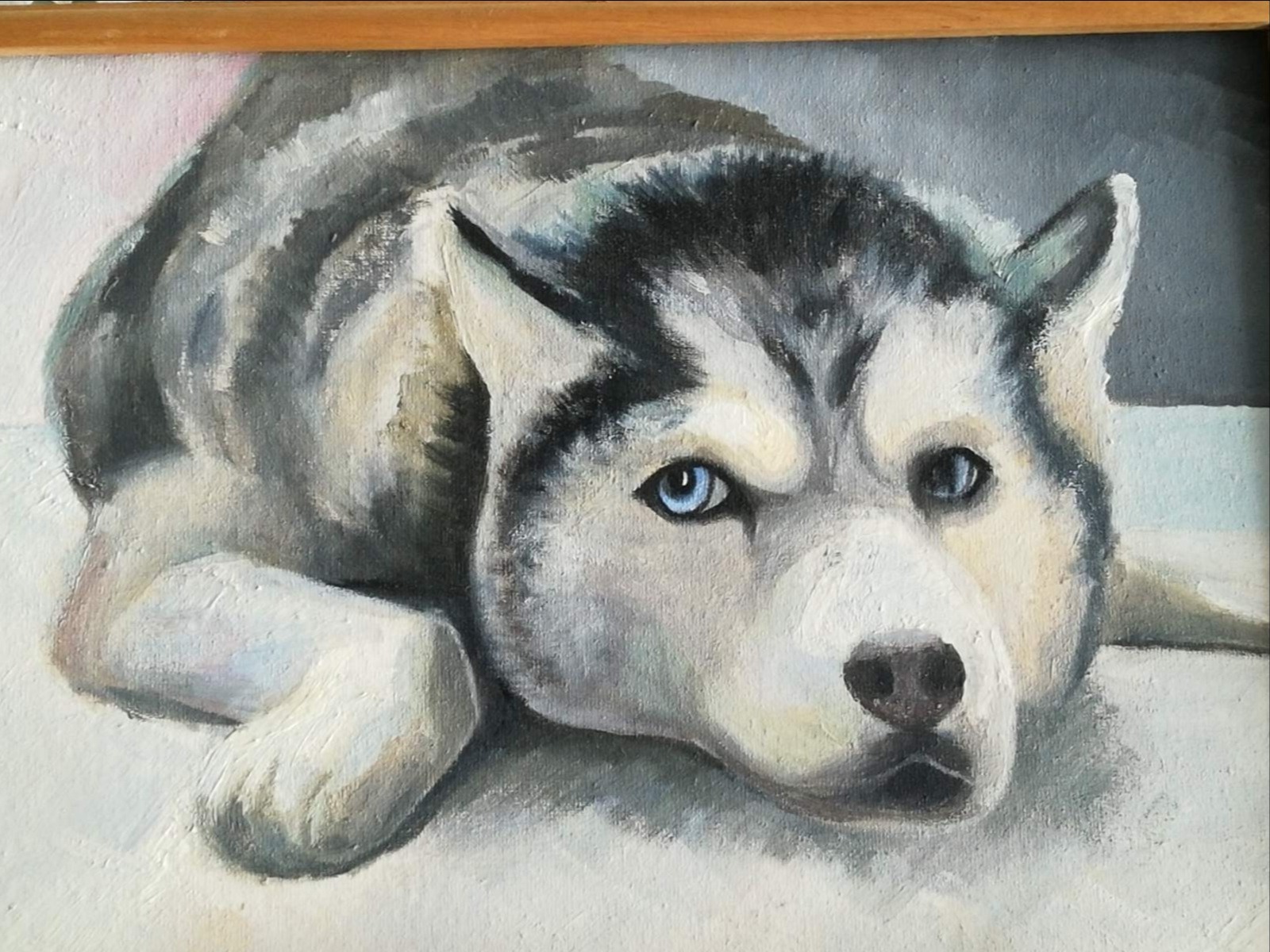 Obraz olejny przedstawiający portret leżącego psa rasy husky z intensywnie niebieskimi oczami, widoczna faktura farby i drewniana rama.