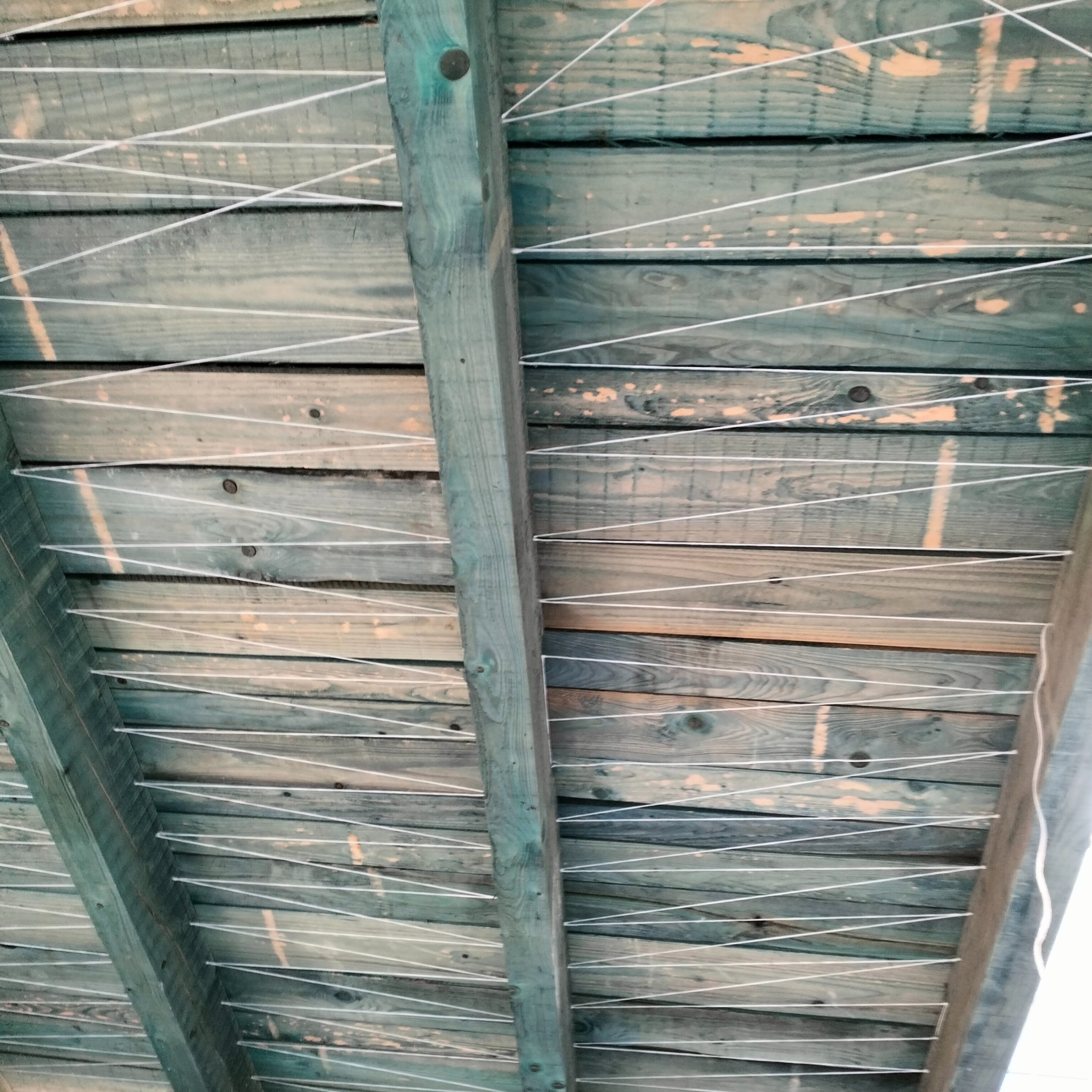 Drewniany strop z widocznymi belkami i poprowadzonymi sznurkami, prawdopodobnie przygotowany do ocieplenia poddasza. Widok z dołu.