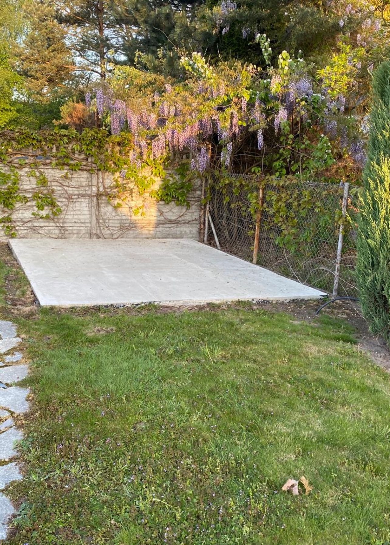 Wylana płyta betonowa pod budowę, widok z poziomu trawnika, w tle kwitnąca glicynia na murze i siatce ogrodzeniowej.