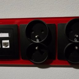 ELEKTROświatło - Nowoczesny, czerwony panel ścienny z czarnymi podwójnymi gniazdami z uziemieniem i dwoma portami sieciowymi RJ45, zamontowany na jasnoszarej ścianie.