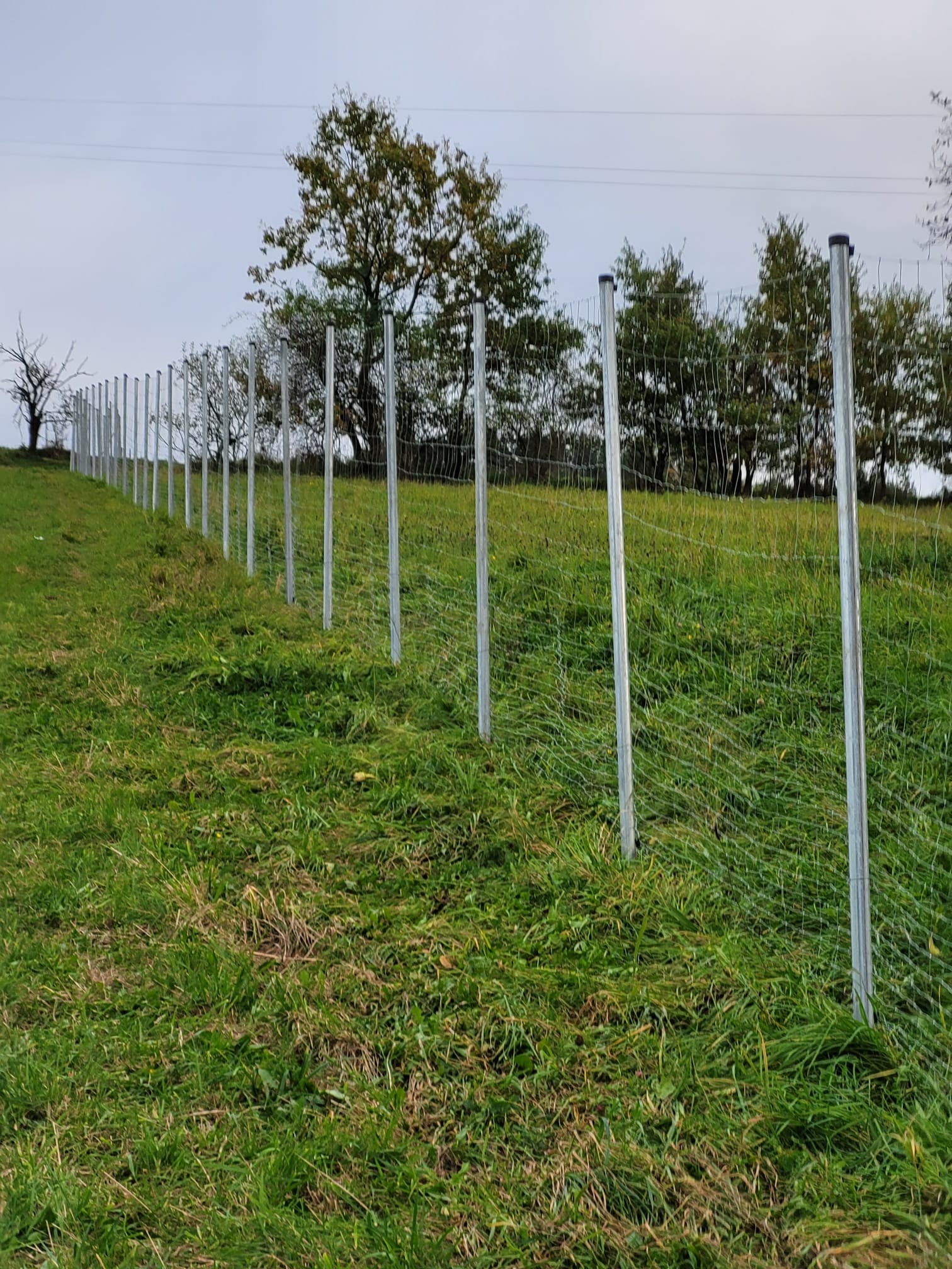 Długa linia nowo postawionej siatki ogrodzeniowej z metalowymi słupkami na nierównym, zielonym terenie trawiastym z drzewami w tle.