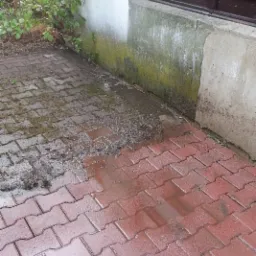 Częściowo umyta, czerwona kostka brukowa przed budynkiem z wilgotną, zieloną ścianą i oknem.