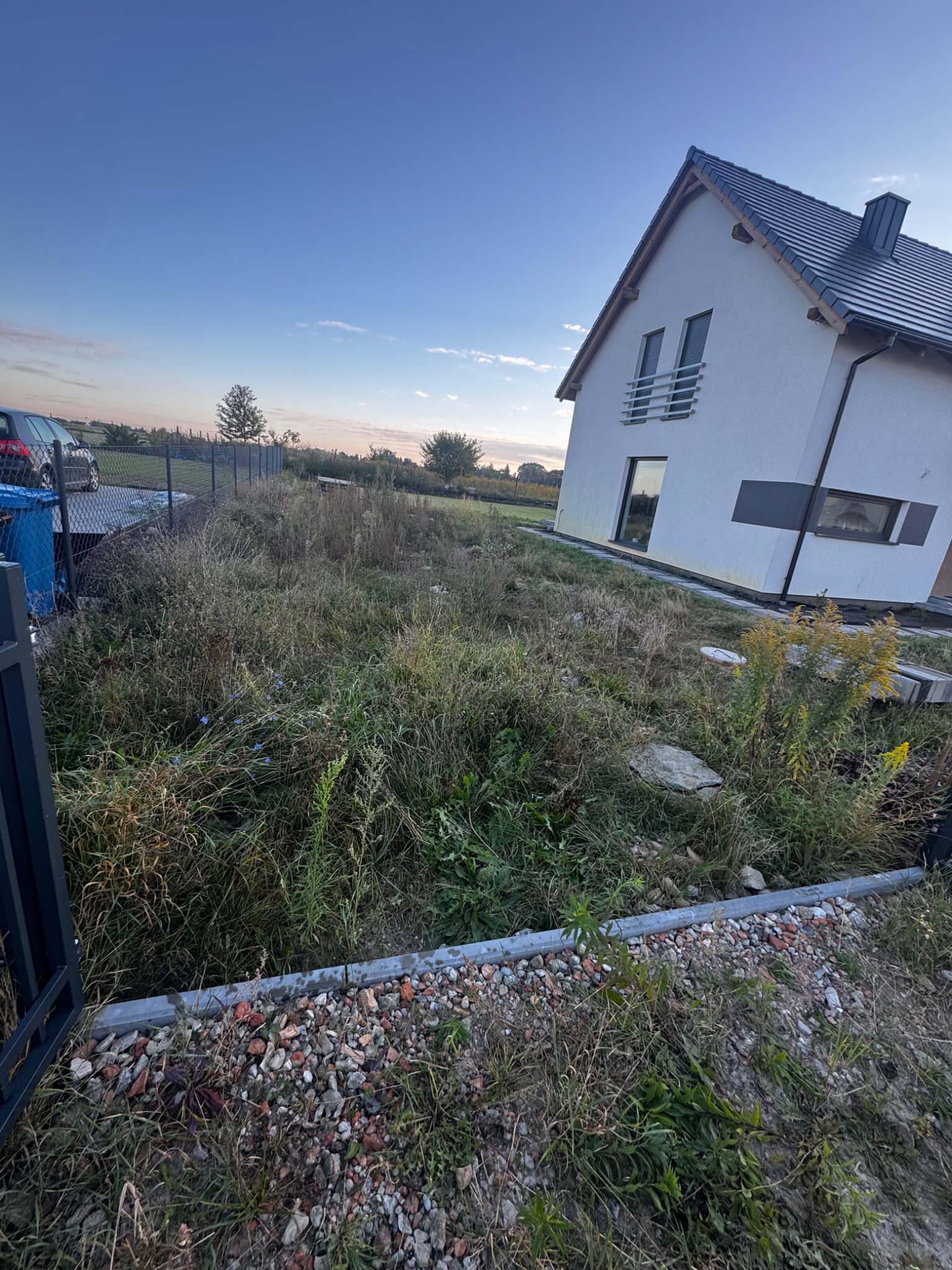 Zarośnięta działka przed domem z widoczną częścią ogrodzenia i fragmentem kostki brukowej. W tle dom jednorodzinny i błękitne niebo o zmierzchu.