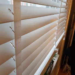 Poziome, białe żaluzje aluminiowe częściowo zasłonięte, widok z bliska, z widocznym mechanizmem sznurkowym i roślinami doniczkowymi na parapecie okiennym.