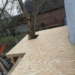 Budowa dachu z płyt OSB wokół pnia drzewa z budką dla ptaków, widok na ceglany budynek w tle.