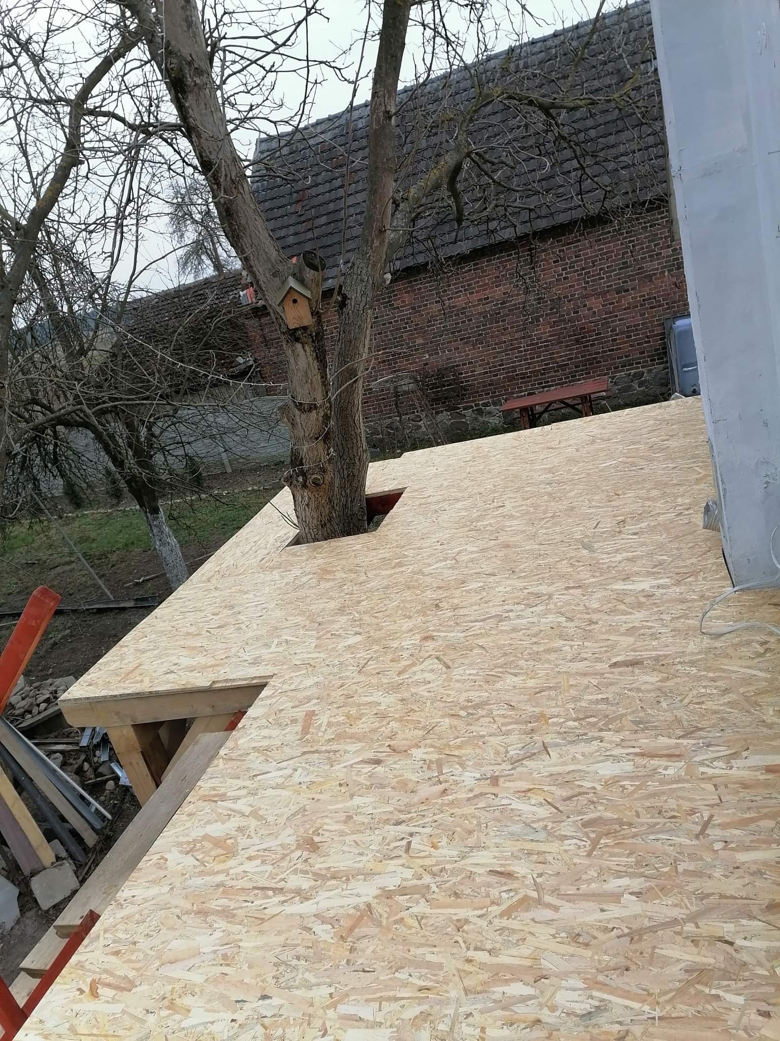 Budowa dachu z płyt OSB wokół pnia drzewa z budką dla ptaków, widok na ceglany budynek w tle.
