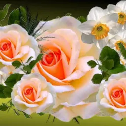 Ekspresowe Uslugi Remontowe Gdynia