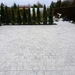 Jasnoszara kostka brukowa ułożona na dużej powierzchni, obrzeża z ciemnego kamienia, w tle rząd tuj i krzewów.