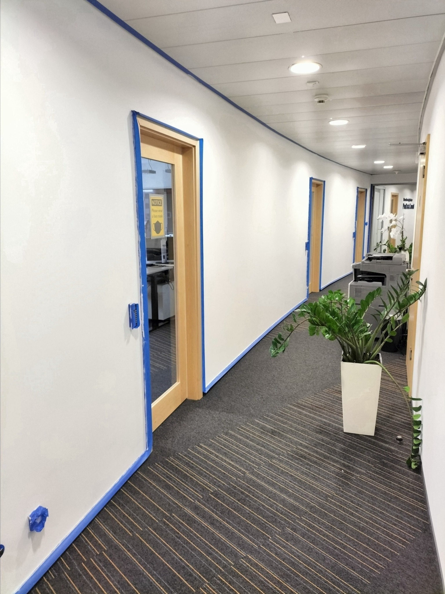 Korytarz biurowy przygotowany do malowania: ściany zabezpieczone niebieską taśmą malarską, widoczna roślina doniczkowa i biurowe urządzenia w tle.