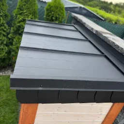 Czarny, blaszany dach z widocznymi łączeniami, z elementami obróbki blacharskiej, na tle zieleni i zabudowań. Detal wykończenia dachu.