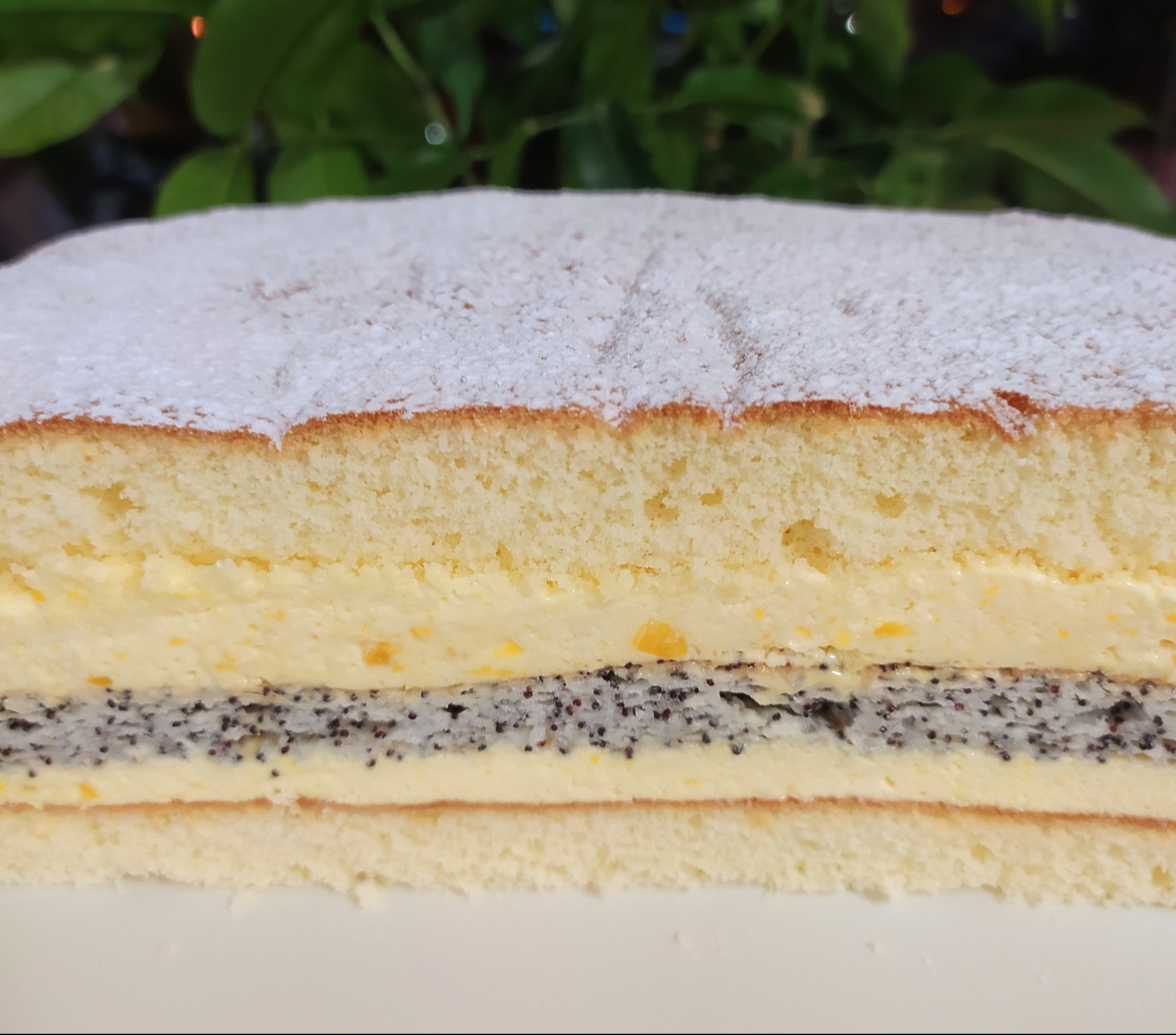 Przekrój ciasta z kremem cytrynowym i warstwą maku, posypane cukrem pudrem, na białym talerzu.