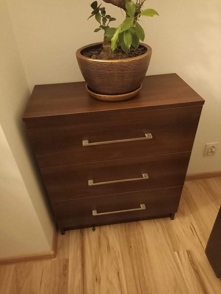 Ciemnobrązowa komoda z trzema szufladami i metalowymi uchwytami, na górze doniczka z rośliną, widok z boku na drewnianą podłogę.