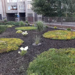 Kwitnące rabaty z krzewami i trawami ozdobnymi na tle budynku mieszkalnego z metalowym ogrodzeniem.