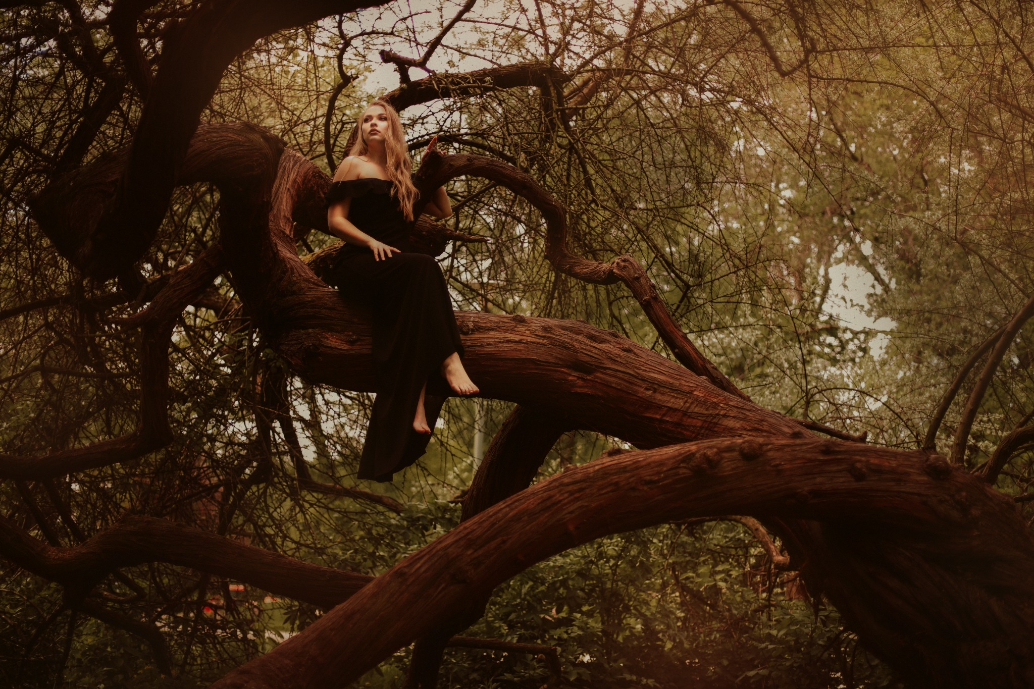 Kobieta w czarnej sukni siedzi boso na grubym konarze drzewa, spoglądając w górę, z widocznymi gałęziami i liśćmi w tle, w ciepłej tonacji kolorystycznej.