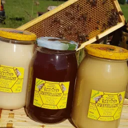 Trzy słoiki z różnymi gatunkami miodu na tle ramki pszczelej z widocznymi pszczołami i zielonym krajobrazem w oddali.