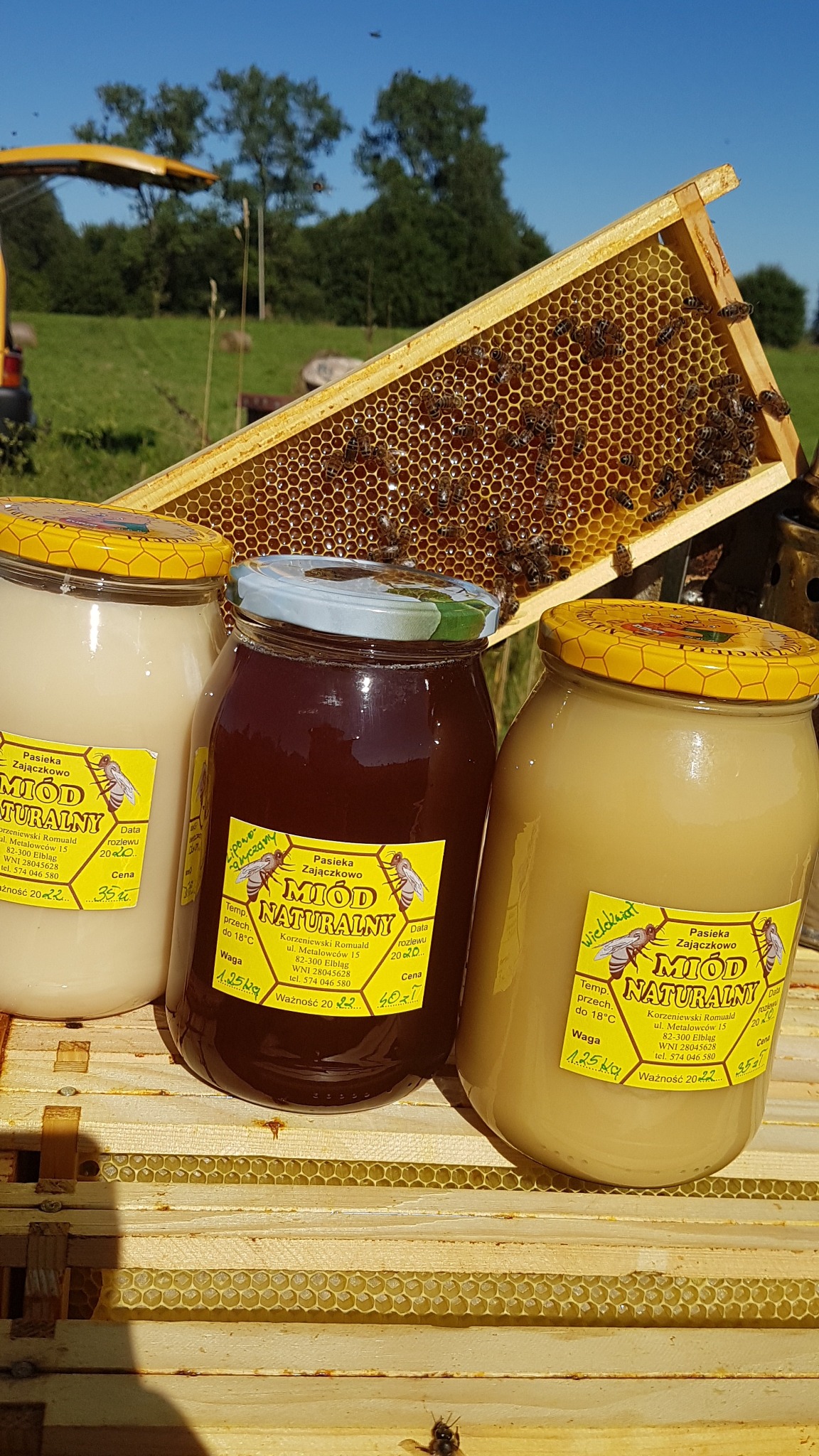 Trzy słoiki z różnymi gatunkami miodu na tle ramki pszczelej z widocznymi pszczołami i zielonym krajobrazem w oddali.