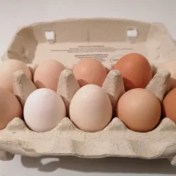 Kartonowe opakowanie z dziesięcioma ułożonymi obok siebie surowymi jajami o zróżnicowanej barwie skorupki, od białej, przez beżową, po jasnobrązową.