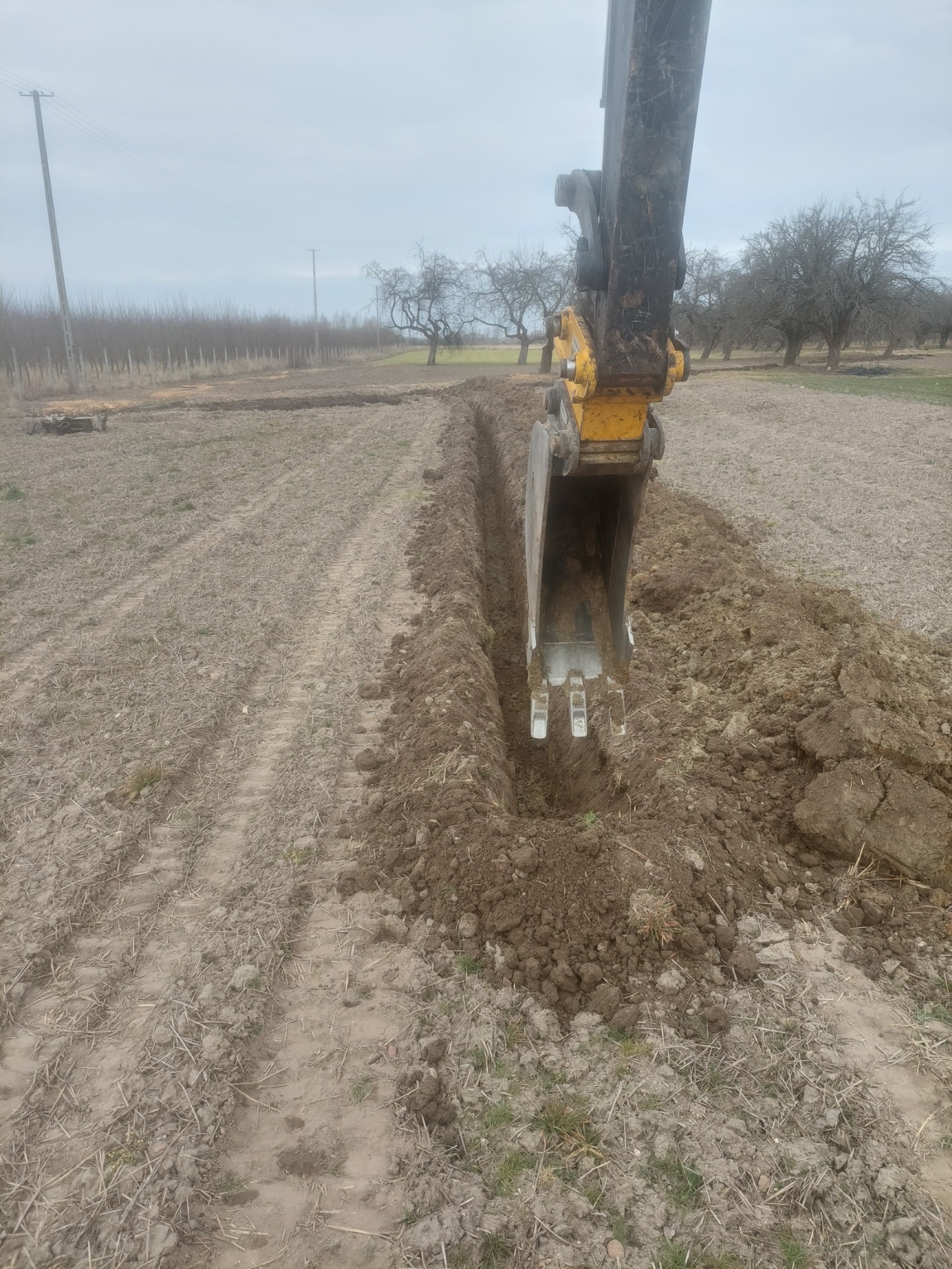 Żółto-czarna koparka w trakcie wykopu wąskiego rowu w polu, widoczne ślady opon i drzewa w tle pod pochmurnym niebem.