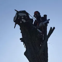 Arborysta w kasku i z piłą łańcuchową, stojący na ogołoconym pniu drzewa na tle jasnego nieba.