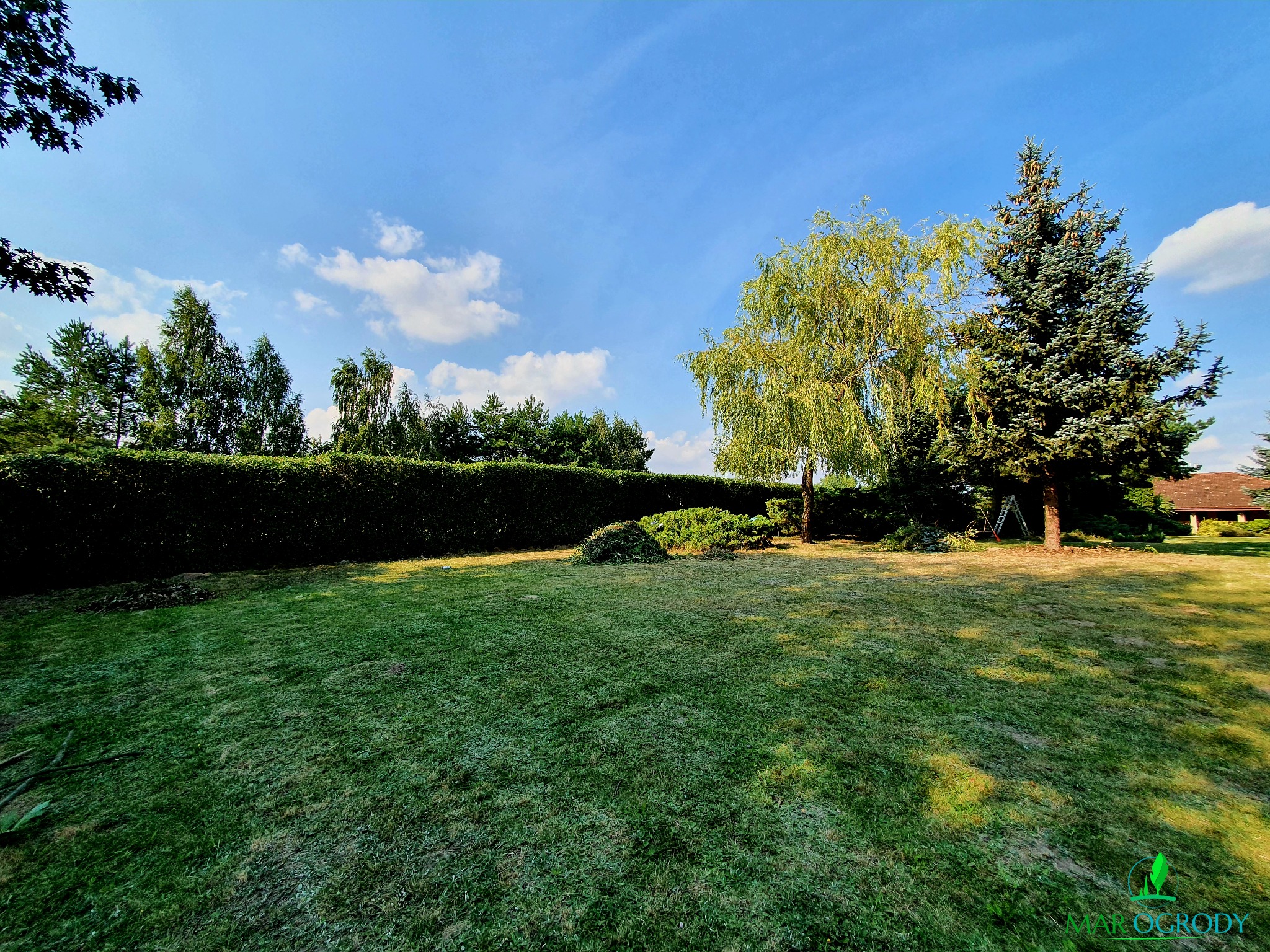Rozległy, zadbany trawnik z formowanymi krzewami i drzewami iglastymi, w tle wysoki żywopłot i błękitne niebo z chmurami. Widoczny stos gałęzi po przycince.