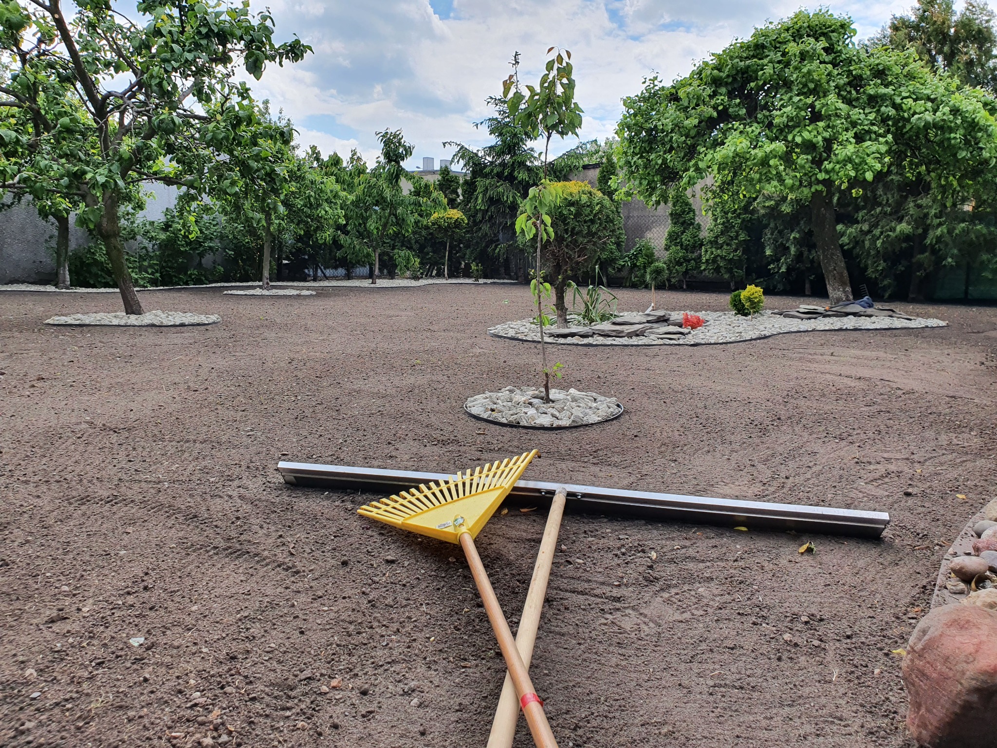 Przygotowany teren pod trawnik z widocznymi narzędziami: żółty grabie i listwa wyrównująca, w tle drzewa i krzewy ozdobne z kamiennymi obwódkami.