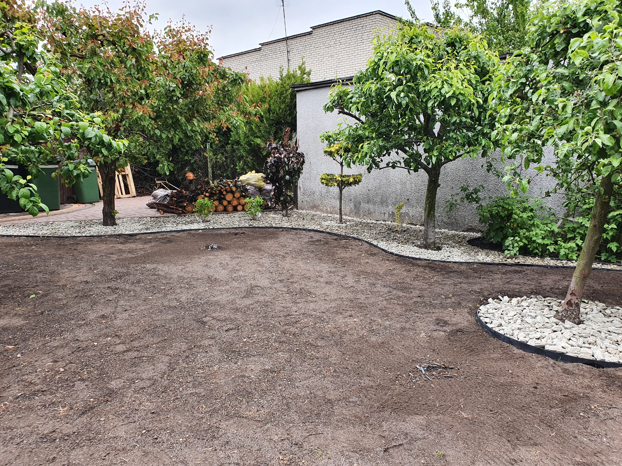 Przygotowany teren pod trawnik z obrzeżami, drzewami i dekoracyjnym kamieniem, widoczne ślady wałowania gleby.