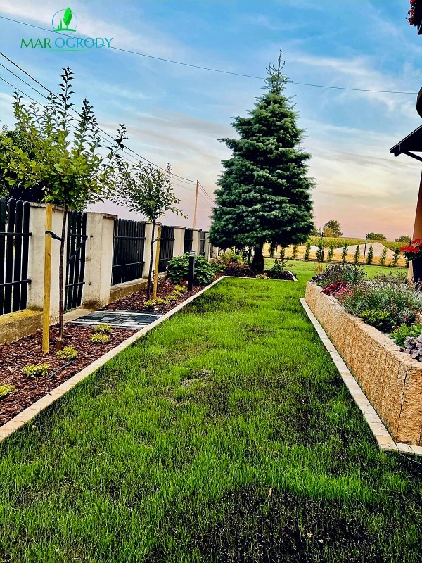 Zadbany ogród z młodym trawnikiem, obrzeżami, nasadzeniami drzew i krzewów wzdłuż ogrodzenia oraz podwyższoną rabatą kwiatową z kamienia naturalnego po prawej stronie. W tle widoczny świerk i pole...