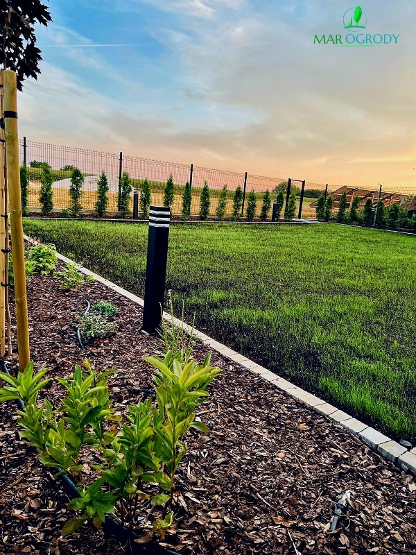Świeżo założony trawnik z obrzeżami i nasadzeniami roślin, oświetlenie ogrodowe w postaci czarnych lamp, siatka ogrodzeniowa w tle, widoczny system nawadniania.