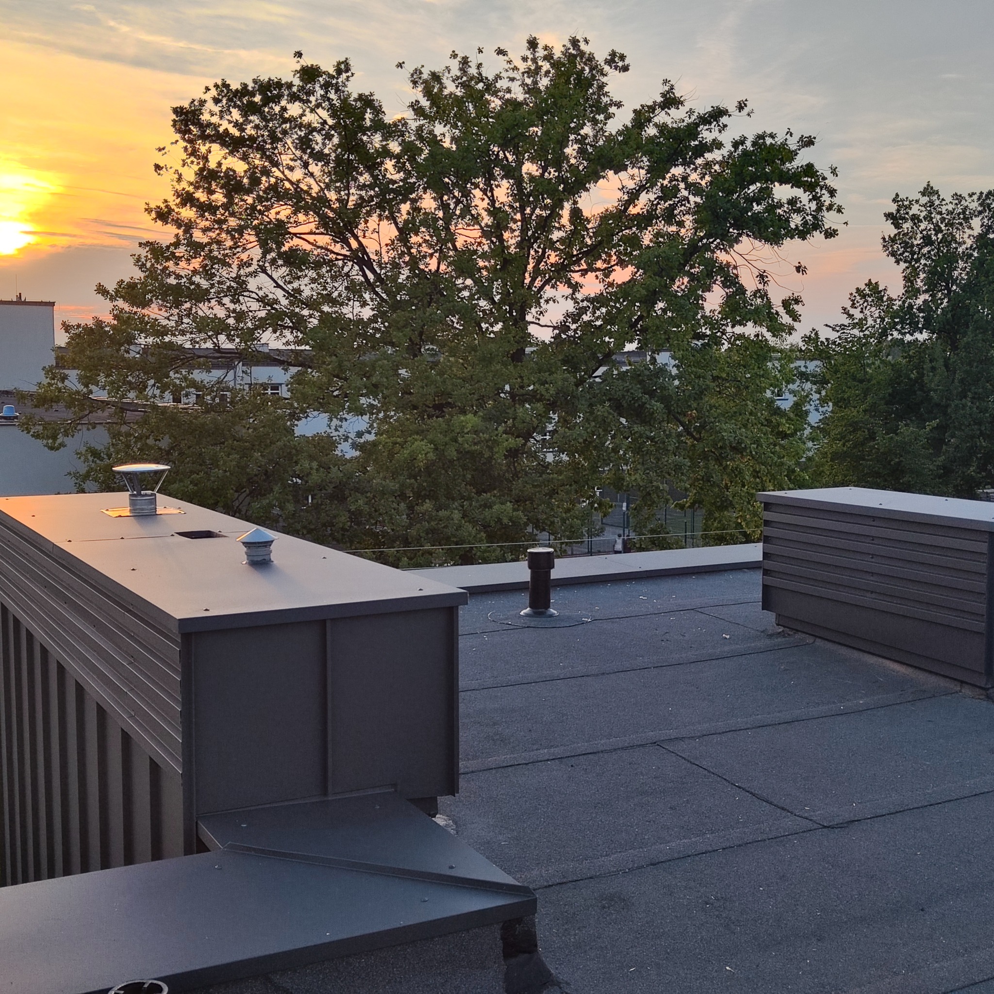 Nowoczesny, płaski dach pokryty papą na tle zachodzącego słońca. Widoczne kominki wentylacyjne i elementy obróbek blacharskich. Drzewa w tle. Ujęcie z góry.