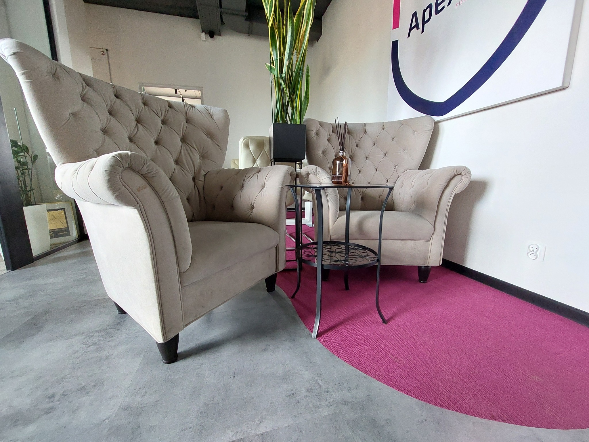 Dwa beżowe fotele typu chesterfield z małym stolikiem, wysoka roślina w czarnej donicy, różowy dywan i szara podłoga tworzą elegancką strefę relaksu w biurze.