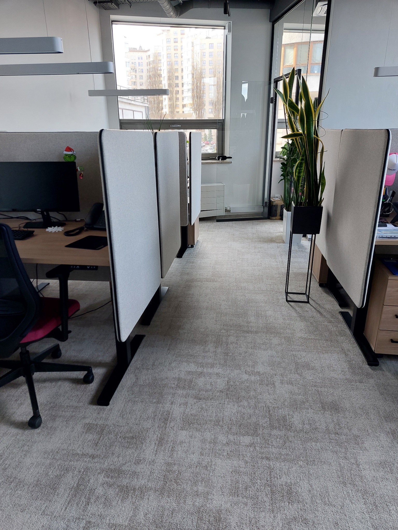 Nowoczesne biuro z biurkami oddzielonymi panelami akustycznymi, widok na miasto przez okno. Minimalistyczny design, roślina doniczkowa jako element dekoracyjny.