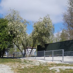Przed domem Oława