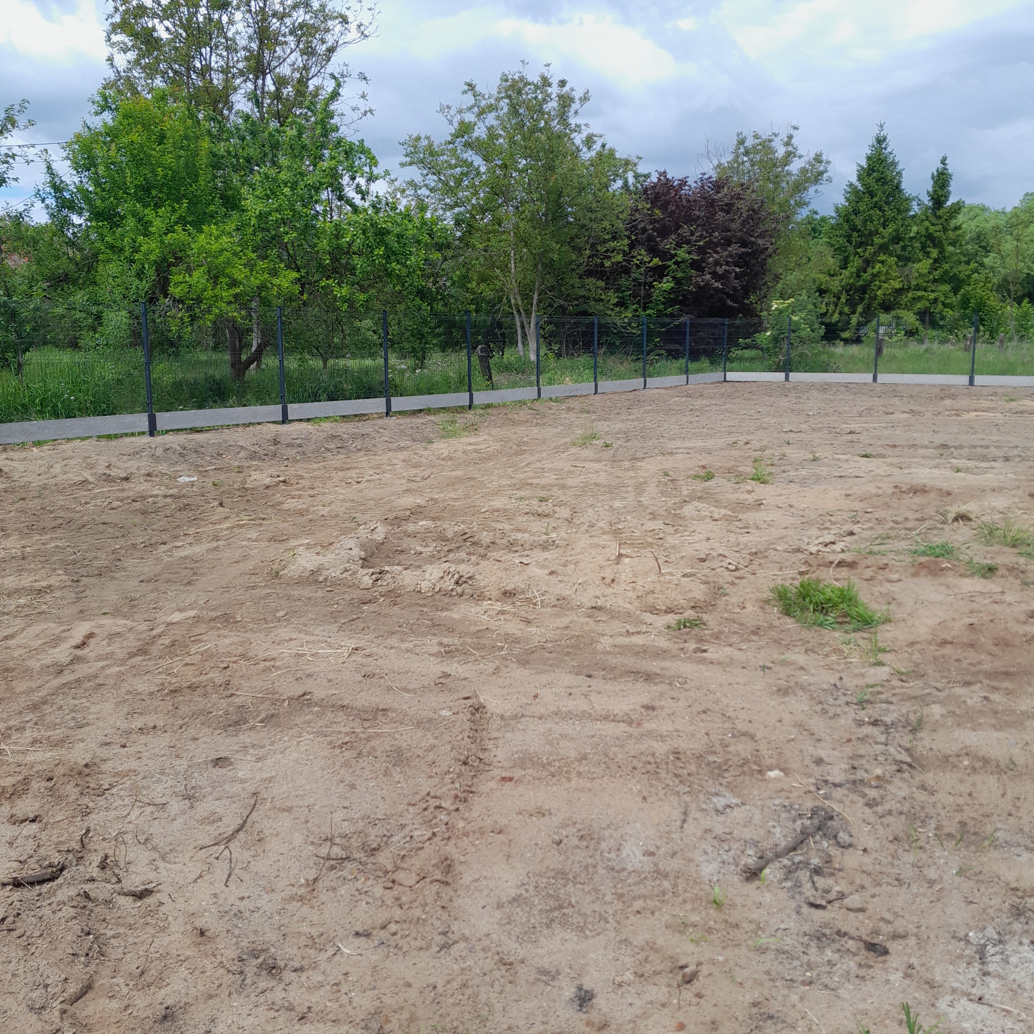 Nowo postawione, ciemne ogrodzenie panelowe na piaszczystym terenie z zielenią w tle. Widok na fragment działki po montażu ogrodzenia, w pochmurny dzień.