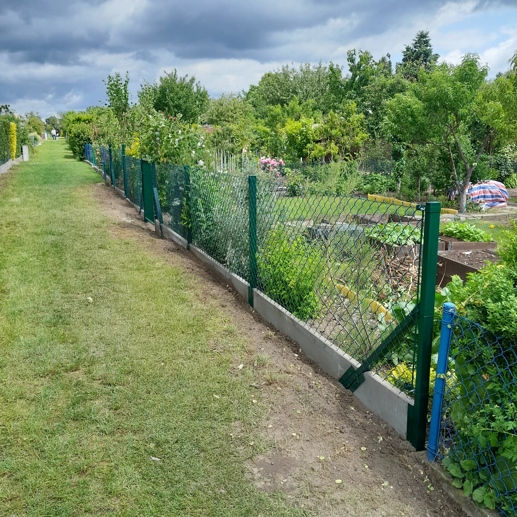 Zielona siatka ogrodzeniowa z betonową podmurówką oddziela ogród od ścieżki. W tle bujna roślinność i pochmurne niebo.