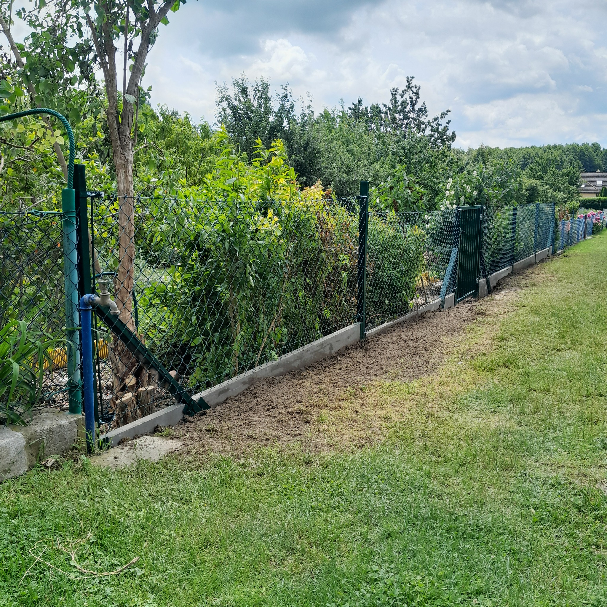 Zielona siatka ogrodzeniowa z betonową podmurówką na tle bujnej zieleni ogrodu, widok z boku, fragment trawnika w pierwszym planie.