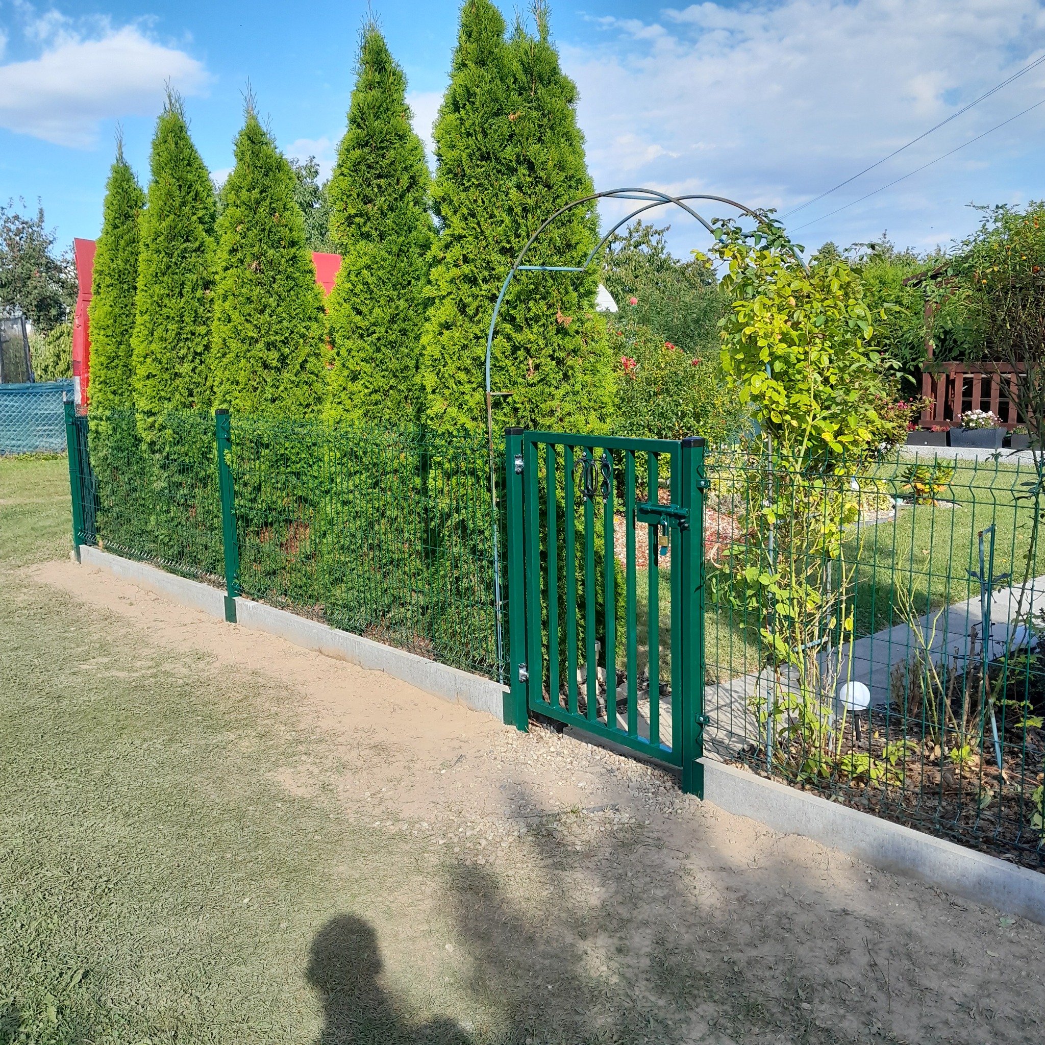 Zielone ogrodzenie panelowe z furtką w ogrodzie, tuje w tle. Widoczny cień osoby robiącej zdjęcie,  ścieżka żwirowa i rabata kwiatowa za ogrodzeniem.
