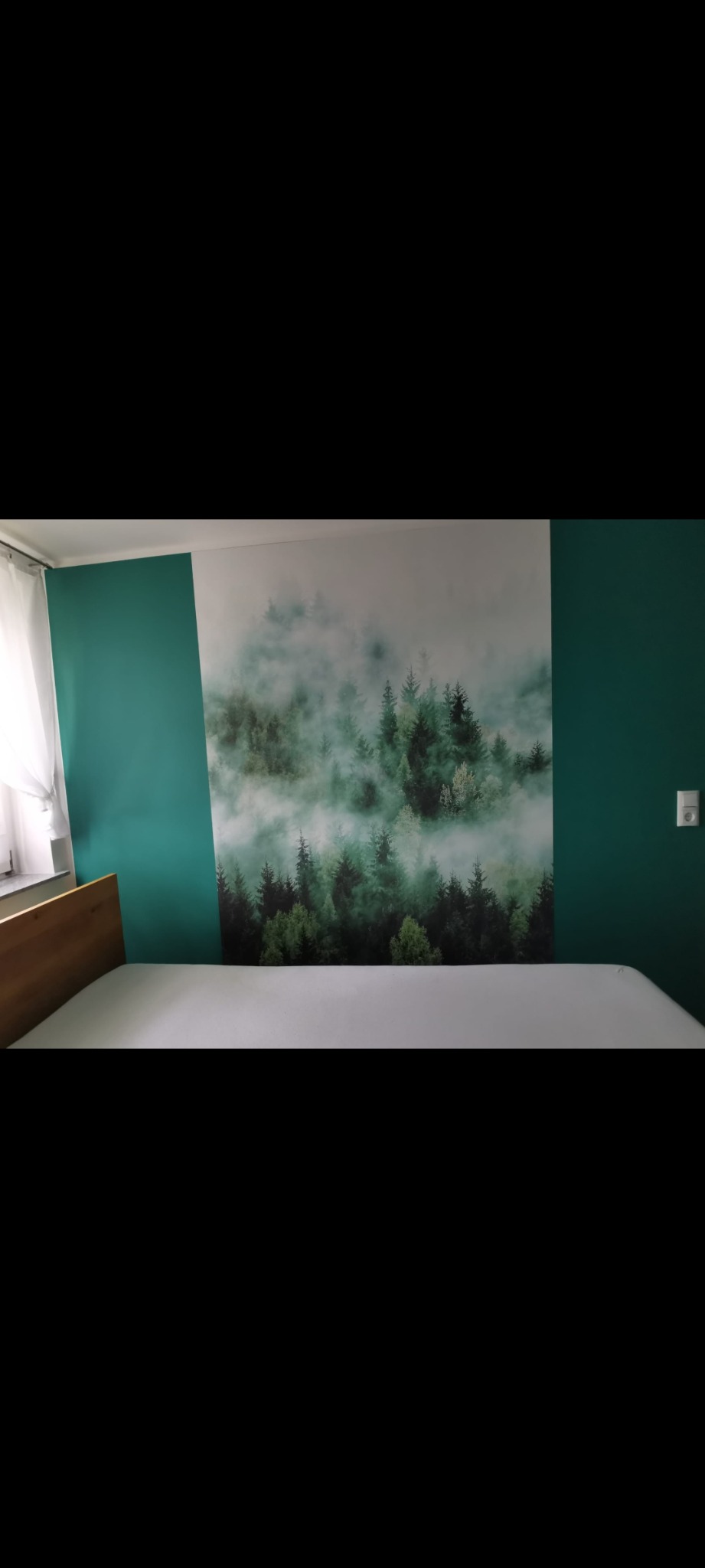 Sypialnia z fototapetą przedstawiającą mglisty las iglasty na ścianie w kolorze butelkowej zieleni, obok okna z białymi zasłonami.