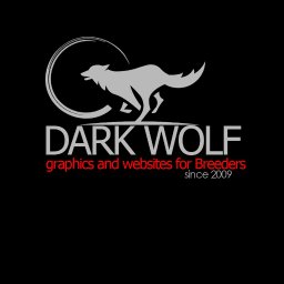 DARK WOLF CLEANING & WEBDESIGN - Usługi Mycia Okien Kędzierzyn-Koźle