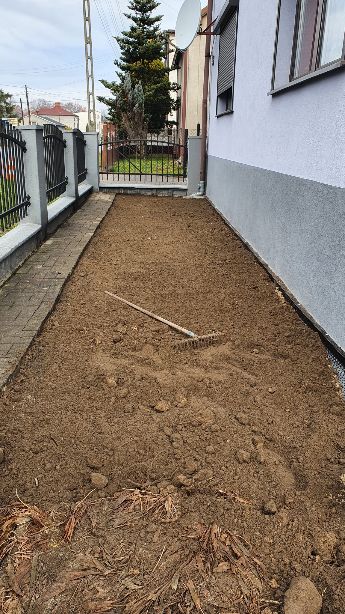 Przygotowany teren pod trawnik przy budynku jednorodzinnym, widoczne wyrównane podłoże z grabiami, obrzeża z kostki i fragment izolacji fundamentów przy ścianie budynku.
